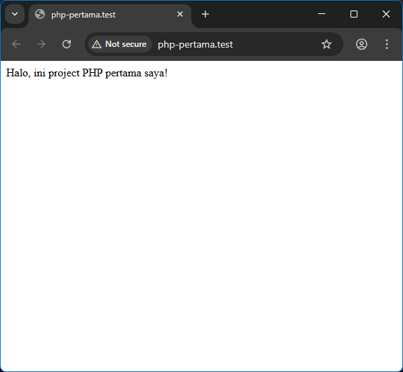 project berhasil diakses dari browser